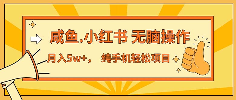 （11524期）2024最赚钱的项目，咸鱼，小红书无脑操作，每单利润500+，轻松月入5万+…-怡宝聊项目