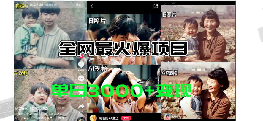 （11546期）全网爆火的AI让老照片动起来教程，蹭热点日赚3000+，内含免费工具一键…-怡宝聊项目