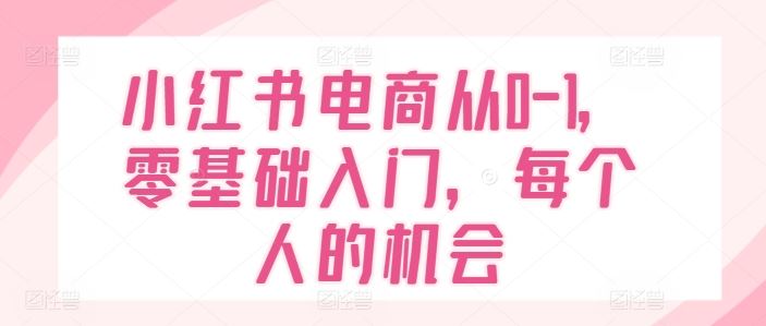 小红书电商从0-1，零基础入门，每个人的机会-怡宝聊项目