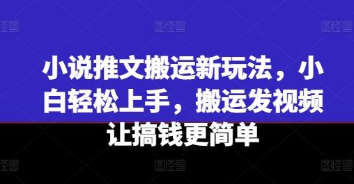 小说推文搬运新玩法，小白轻松上手，搬运发视频让搞钱更简单-怡宝聊项目