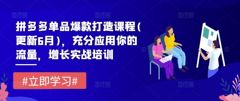 拼多多单品爆款打造课程(更新6月)，充分应用你的流量，增长实战培训-怡宝聊项目