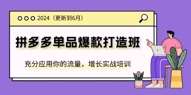 （11556期）2024拼多多-单品爆款打造班(更新6月)，充分应用你的流量，增长实战培训-怡宝聊项目