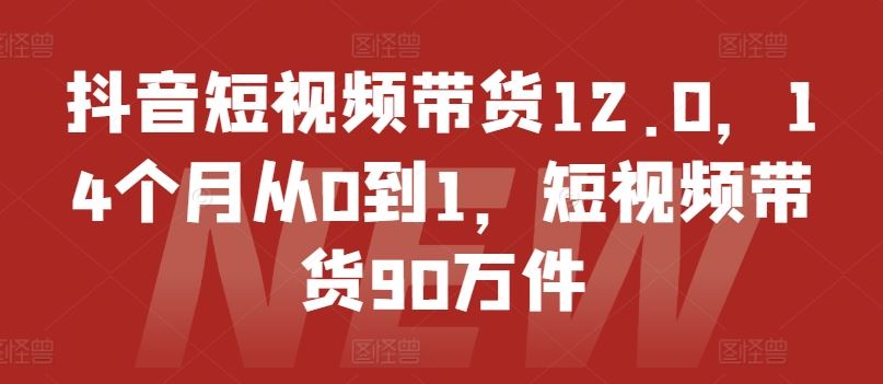 抖音短视频带货12.0，14个月从0到1，短视频带货90万件-怡宝聊项目