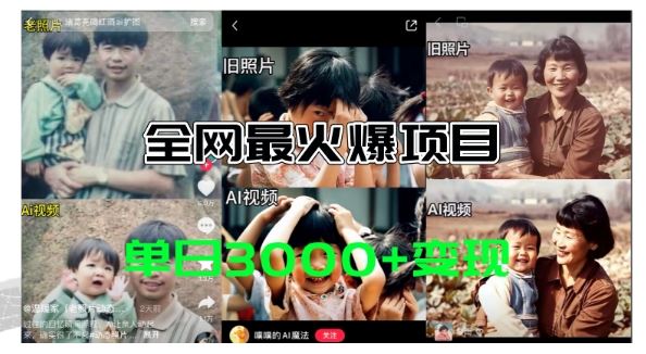 全网爆火的AI让老照片动起来教程，蹭热点日赚3k+，内含免费工具一键可生成【揭秘】-怡宝聊项目