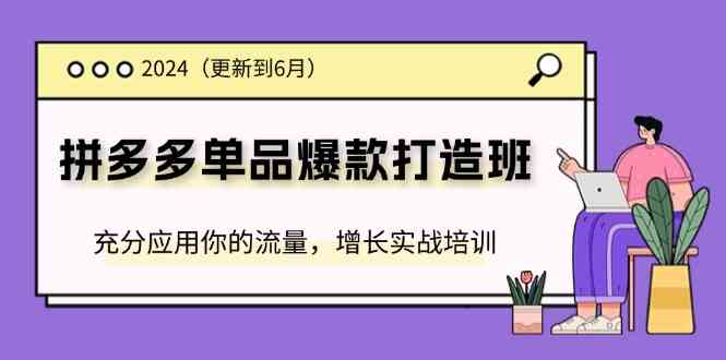 2024拼多多单品爆款打造班，充分应用你的流量，增长实战培训(更新6月)-怡宝聊项目