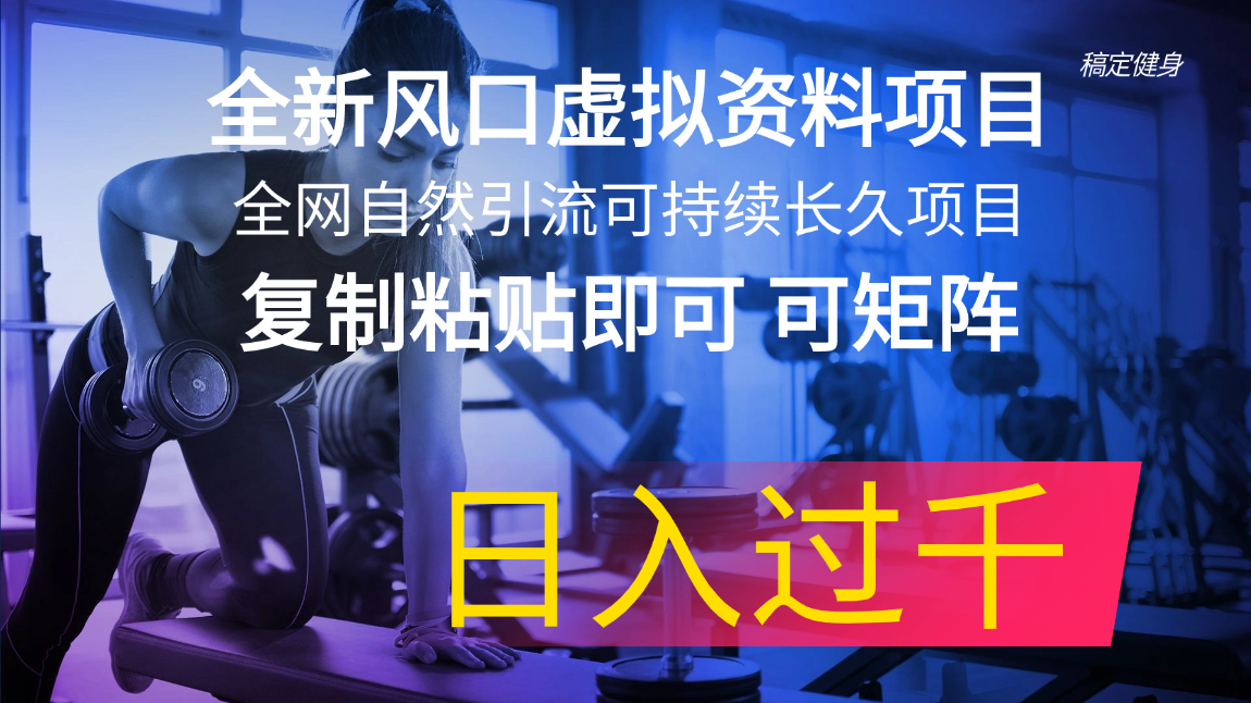 （11587期）全新风口虚拟资料项目 全网自然引流可持续长久项目 复制粘贴即可可矩阵…-怡宝聊项目