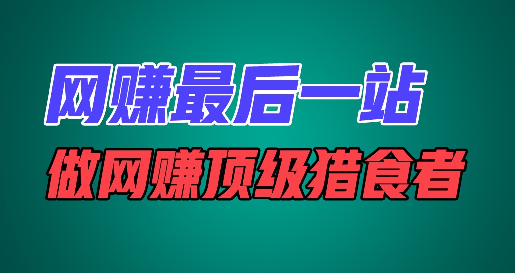 网赚最后一站，卖项目，做网赚顶级猎食者-怡宝聊项目