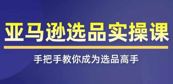 亚马逊选品实操课程，快速掌握亚马逊选品的技巧，覆盖亚马逊选品所有渠道-怡宝聊项目