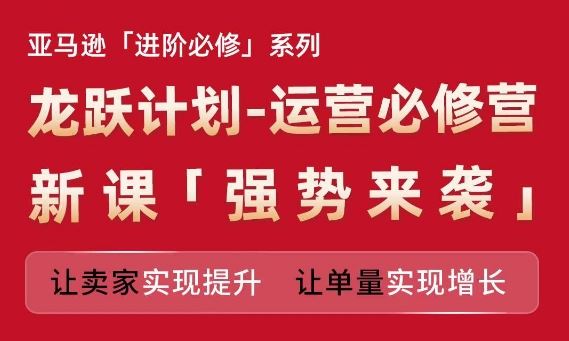 亚马逊进阶必修系列，龙跃计划-运营必修营新课，让卖家实现提升 让单量实现增长-怡宝聊项目