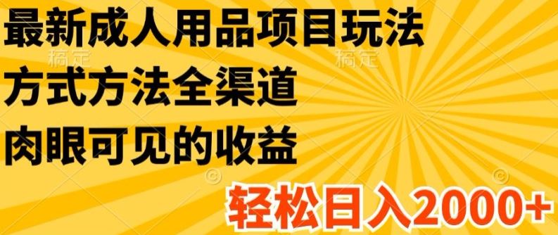 最新成人用品项目玩法，方式方法全渠道，轻松日入2K+【揭秘】-怡宝聊项目