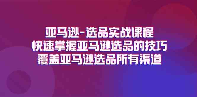 亚马逊选品实战课程，快速掌握亚马逊选品的技巧，覆盖亚马逊选品所有渠道-怡宝聊项目