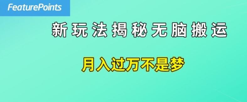 简单操作，每天50美元收入，搬运就是赚钱的秘诀【揭秘】-怡宝聊项目