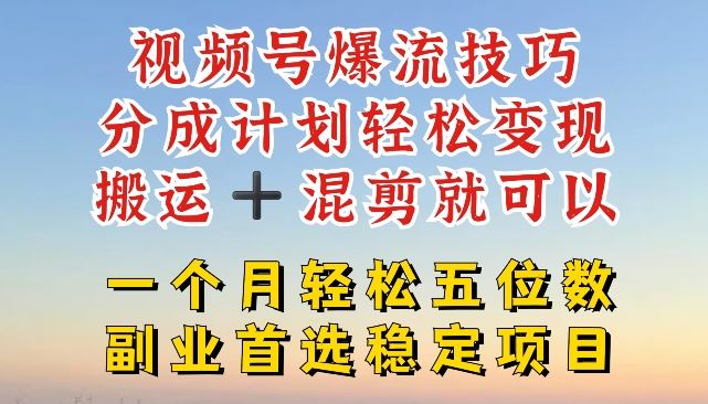 视频号爆流技巧，分成计划轻松变现，搬运 +混剪就可以，一个月轻松五位数稳定项目【揭秘】-怡宝聊项目