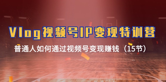 Vlog视频号IP变现特训营，普通人如何通过视频号变现赚钱（15节）-怡宝聊项目