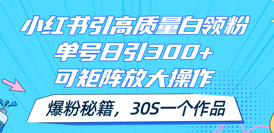 （11692期）小红书引高质量白领粉，单号日引300+，可放大操作，爆粉秘籍！30s一个作品-怡宝聊项目