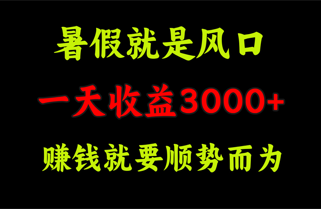 （11670期）一天收益3000+ 赚钱就是顺势而为，暑假就是风口-怡宝聊项目