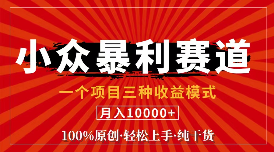 （11695期）视频号【中老年粉深信不疑】小众赛道 100%原创 手把手教学 新号3天收益…-怡宝聊项目