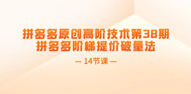 （11704期）拼多多原创高阶技术第38期，拼多多阶梯提价破量法（14节课）-怡宝聊项目