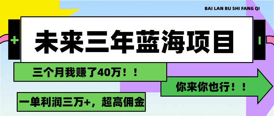 （11716期）未来三年，蓝海赛道，月入3万+-怡宝聊项目