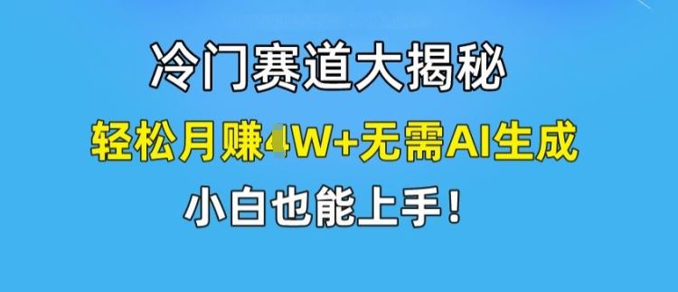 冷门赛道大揭秘，轻松月赚1W+无需AI生成，小白也能上手【揭秘】-怡宝聊项目