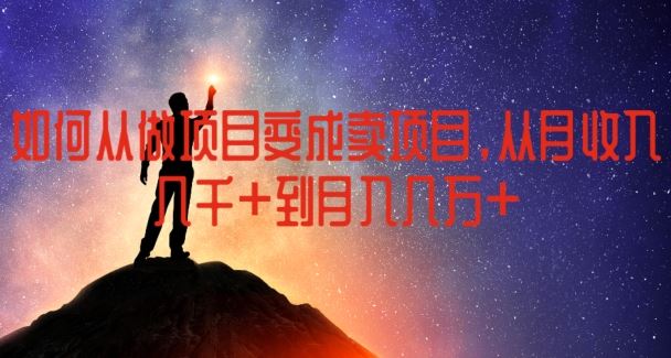 如何从做项目变成卖项目，从月收入几千到月入几万【揭秘】-怡宝聊项目