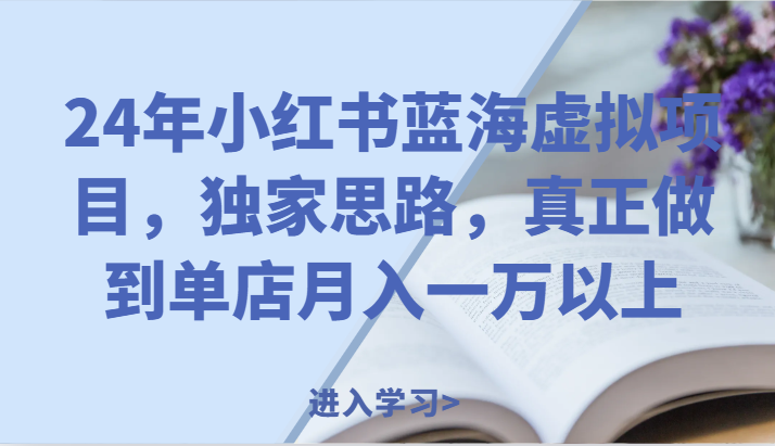 24年小红书蓝海虚拟项目，独家思路，真正做到单店月入一万以上。-怡宝聊项目
