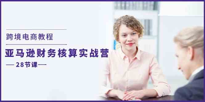 跨境电商教程：亚马逊财务核算实战营（28节课）-怡宝聊项目