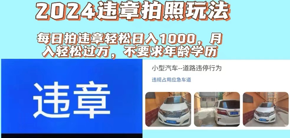 （11743期）2024违章拍照新玩法，推广躺赚+拍照赚钱双模式，日入1000+-怡宝聊项目
