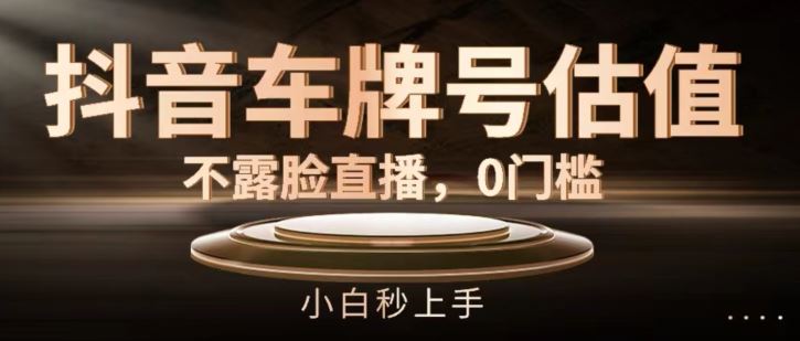 抖音车牌号估值，不露脸直播，0门槛，小白秒上手【揭秘】-怡宝聊项目