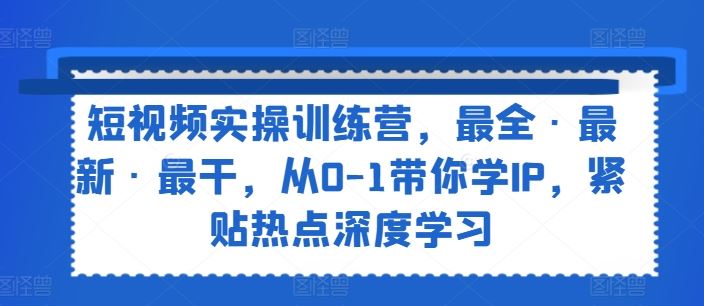 短视频实操训练营，最全·最新·最干，从0-1带你学IP，紧贴热点深度学习-怡宝聊项目
