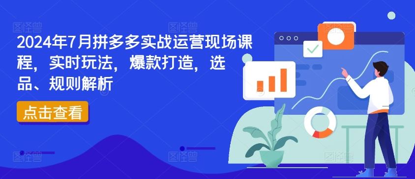 2024年7月拼多多实战运营现场课程，实时玩法，爆款打造，选品、规则解析-怡宝聊项目