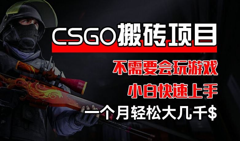 CSGO 装备搬砖项目，操作简单，不需要会玩游戏，小白也能快速上手，一个月轻松大几千【揭秘】-怡宝聊项目