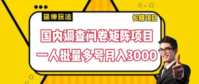 国内调查问卷矩阵项目，一人批量多号月入3000【揭秘】-怡宝聊项目