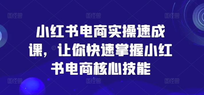 小红书电商实操速成课，让你快速掌握小红书电商核心技能-怡宝聊项目