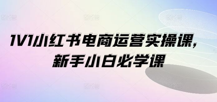 1V1小红书电商运营实操课，新手小白必学课-怡宝聊项目