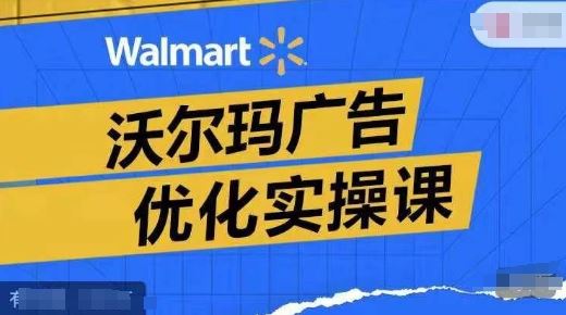 沃尔玛广告优化实操课，广告报告实操讲解，广告如何提高转化和ROAS等-怡宝聊项目