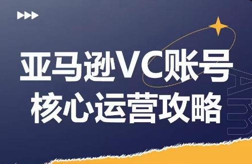 亚马逊VC账号核心玩法解析，实战经验拆解产品模块运营技巧，提升店铺GMV，有效提升运营利润-怡宝聊项目