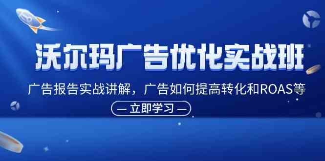 沃尔玛广告优化实战班，广告报告实战讲解，广告如何提高转化和ROAS等-怡宝聊项目