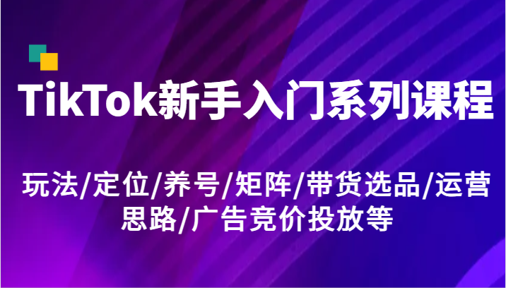 TikTok新手入门系列课程，玩法/定位/养号/矩阵/带货选品/运营思路/广告竞价投放等-怡宝聊项目