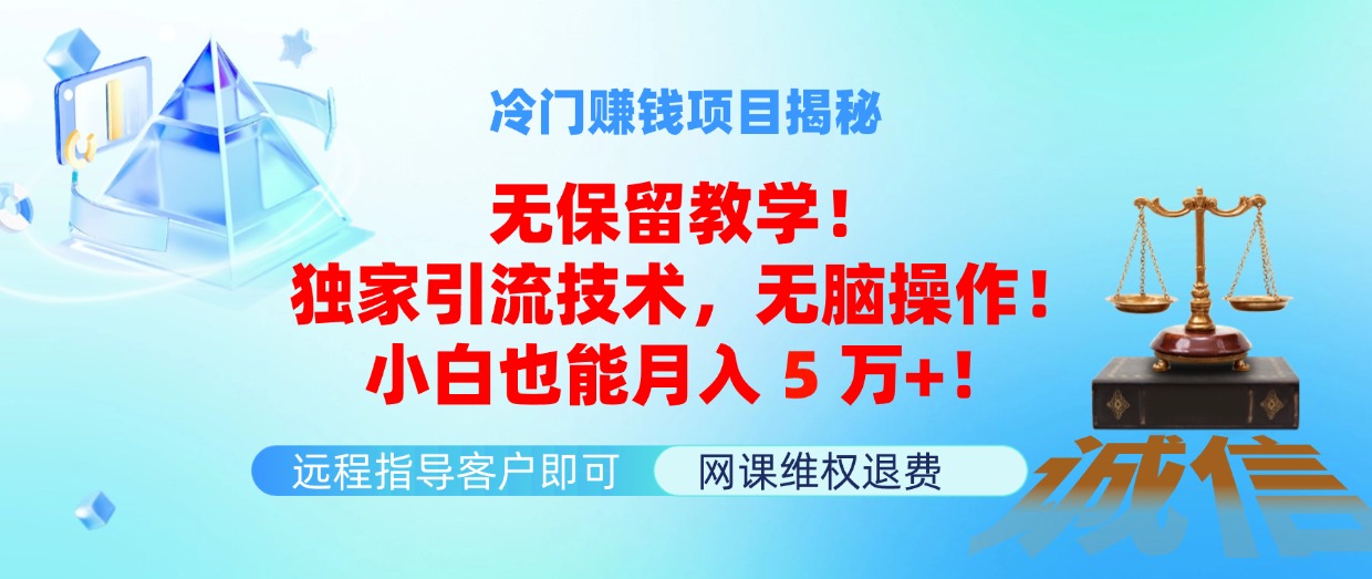 （11864期）冷门赚钱项目无保留教学！独家引流技术，无脑操作！小白也能月入5万+！-怡宝聊项目
