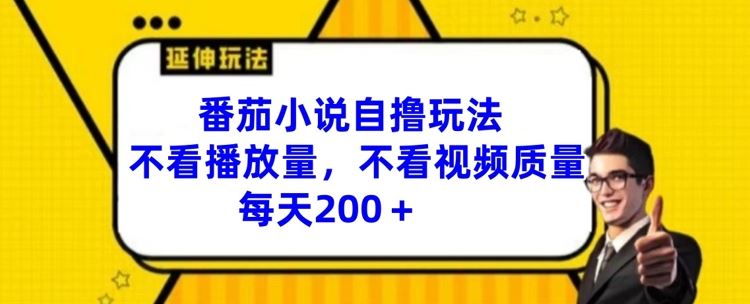 番茄小说自撸玩法，不看播放量，不看视频质量，每天200+【揭秘】-怡宝聊项目