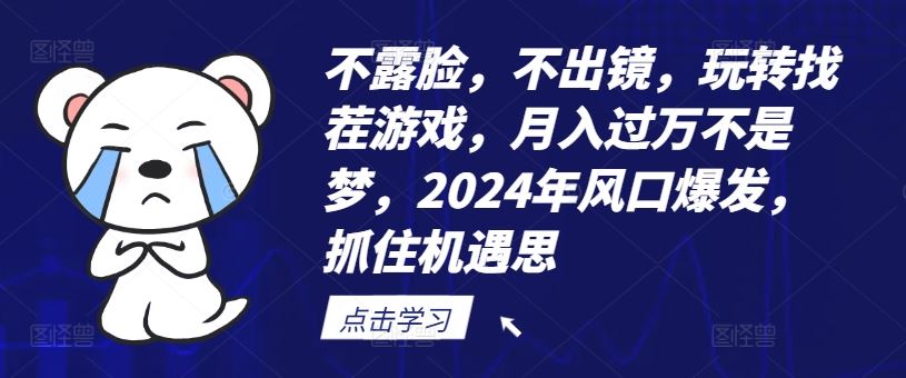 不露脸，不出镜，玩转找茬游戏，月入过万不是梦，2024年风口爆发，抓住机遇【揭秘】-怡宝聊项目