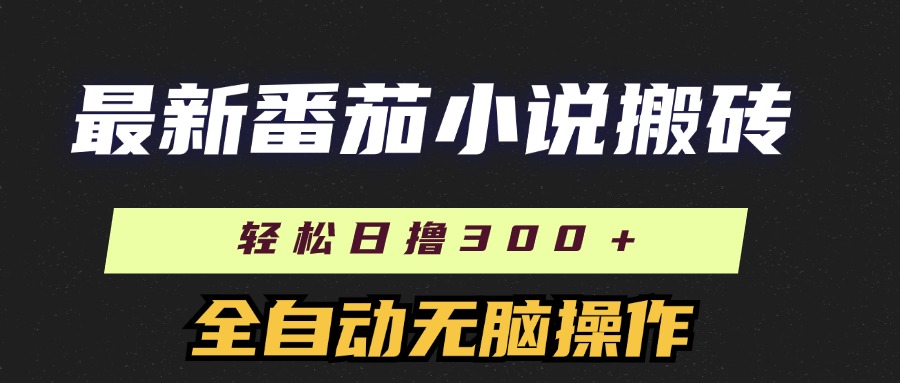 （11904期）最新番茄小说搬砖，日撸300＋！全自动操作，可矩阵放大-怡宝聊项目