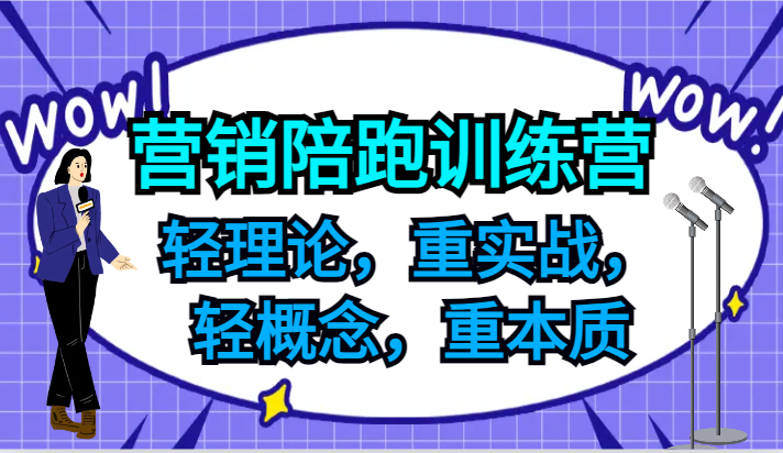 营销陪跑训练营，轻理论，重实战，轻概念，重本质，适合中小企业和初创企业的老板-怡宝聊项目