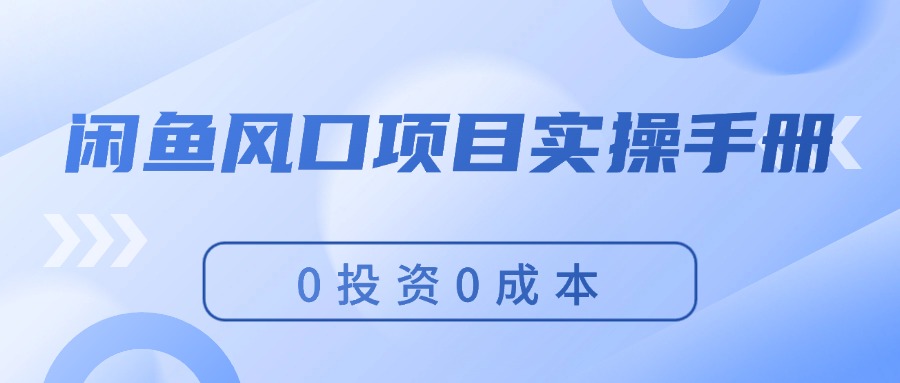 （11923期）闲鱼风口项目实操手册，0投资0成本，让你做到，月入过万，新手可做-怡宝聊项目
