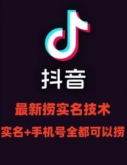最新技术抖音捞实名+捞手机号技术，抖音直播封禁释放十名/手机号，直接替换出来!-怡宝聊项目