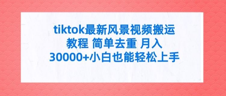 tiktok最新风景视频搬运教程 简单去重 月入3W+小白也能轻松上手【揭秘】-怡宝聊项目