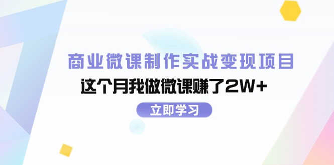 （11959期）商业微课制作实战变现项目，这个月我做微课赚了2W+-怡宝聊项目