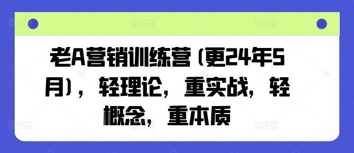 老A营销训练营(更24年7月)，轻理论，重实战，轻概念，重本质-怡宝聊项目