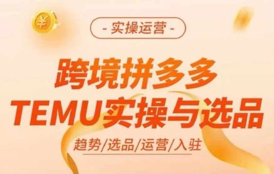 跨境拼多多TEMU实操与选品，多多temu跨境选品运营实操-怡宝聊项目